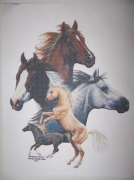 Paard3