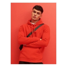 AWDis Graduate Heacyweight Hoodie JH101