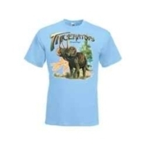 dinosaurus t-shirts