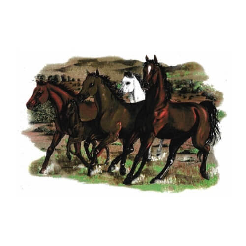 4 paarden met veulen bedrukt op een t-shirt.
