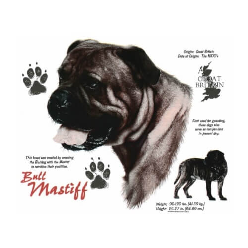 Bull Mastif t-shirt van 100% katoen.