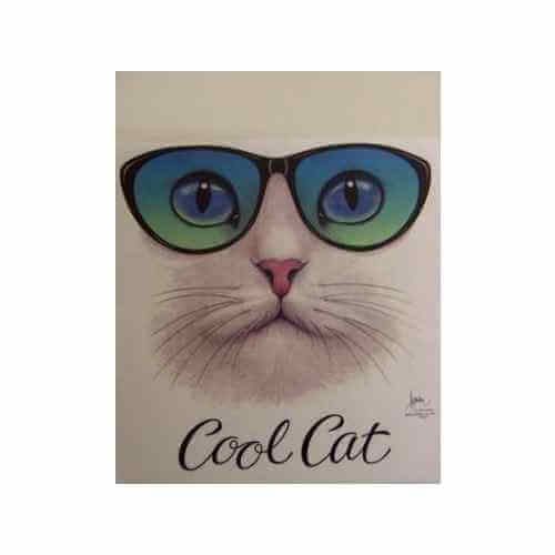 Cool Cat t-shirt