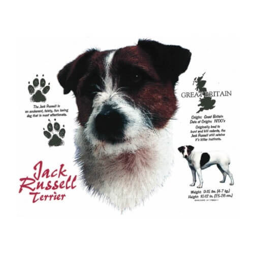 Jack Russel Terrier t-shirt