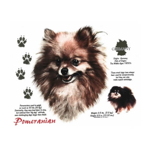 Pomeranian t-shirt