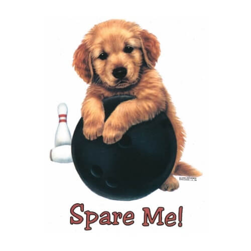 En lief klein bruin hondje leunend op een bowlingbal. Dit Spare me t-shirt is leverbaar in 18 kleuren vanaf maat S t/m XXL.