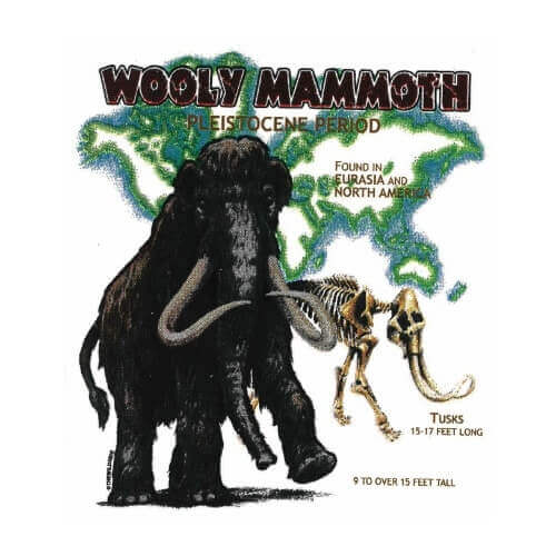 Wooly Mammoth t-shirt.