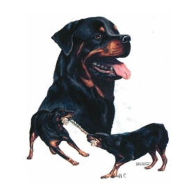 3 Rottweilers t-shirt