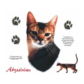 Abyssinian t-shirt met korte mouwen en een ronde hals.