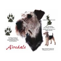 Airedale t-shirt.