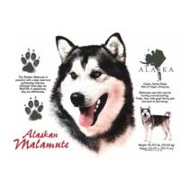 Alaskan Malamute t-shirt