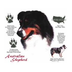 Australian Shepherd t-shirt van 100% katoen. Keuze uit 27 kleuren.