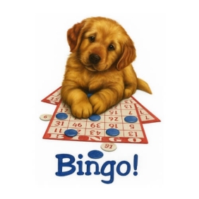 Bingo puppie ! Bedrukt op een t-shirt van 100% katoen.
