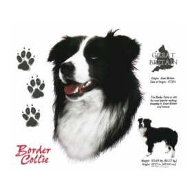 Border Collie T-shirt