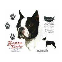 Boston Terrier t-shirt