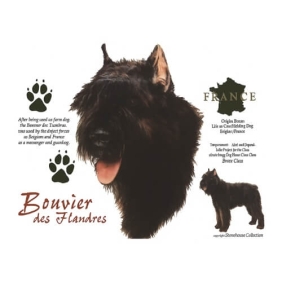 Bouvier t-shirt in diverse mooie kleuren vanaf maat S t/m XXL.