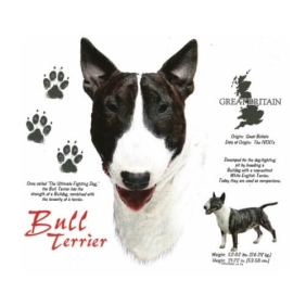 Bull Terrier t-shirt van 100% katoen. Leverbaar in 27 kleuren.