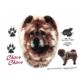 Chow Chow T-shirt