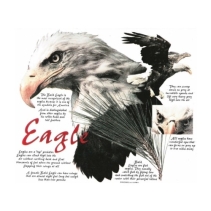 Eagle t-shirt met korte mouwen en ronde hals.