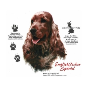 English Cocker Spaniel t-shirt