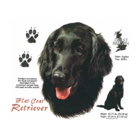 Flat coat Retriever t-shirt van 100% katoen en zijn leverbaar vanaf maat S t/m XXL.