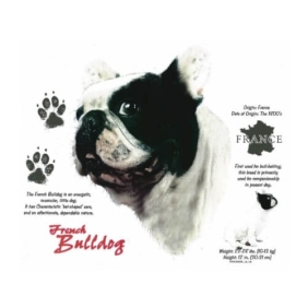 Franse Bulldog t-shirt