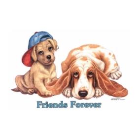 friends forever t-shirt van 100% katoen.