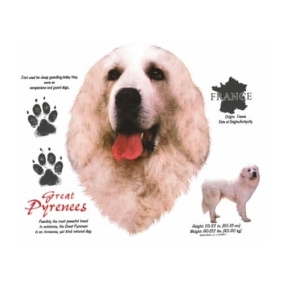 Great Pyrenees t-shirt leverbaar vanaf maat S t/m XXL en in 27 geweldige kleuren.