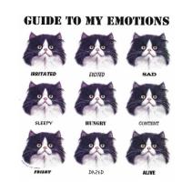 Guide to my Emotions t-shirts