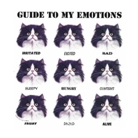 Guide to my Emotions t-shirts