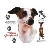 Italian Greyhound t-shirt