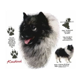 Keeshond t-shirt