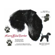 Kerry Blue Terrier t-shirt
