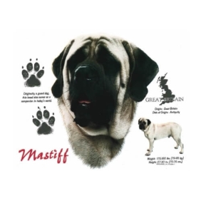 Mastiff t-shirt