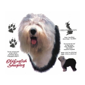 Old English Sheepdog t-shirt