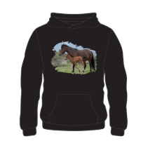 Paard en veulen bedrukt op een hoodie.