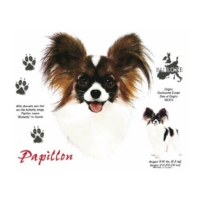 Papillon t-shirt.