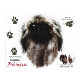 Pekingese t-shirt