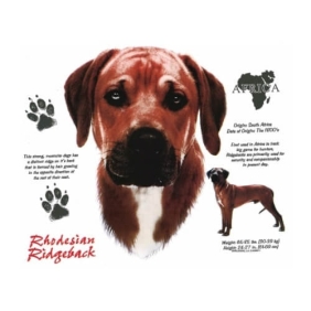 Rhodesian Ridgeback t-shirt