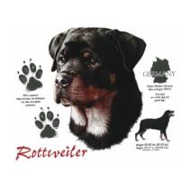 Een zeer mooie Rottweiler bedrukt op een t-shirt. Deze t-shirts zijn leverbaar in 27 kleuren vanaf maat S t/m XXL.