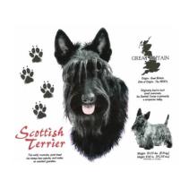 Scottish Terrier bedrukt op een t-shirt