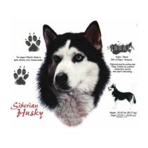 Siberian Husky t-shirt van 100% katoen.