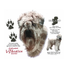 Wheaten Terrier t-shirt