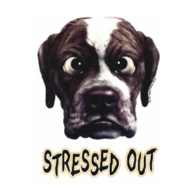 Stressed Out t-shirt