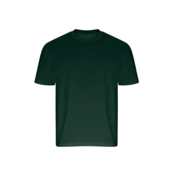 Arrow Recycled Heavy Oversize T EA006 - Green