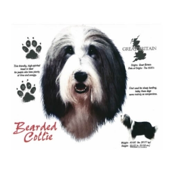 Bearded Collie T-shirt