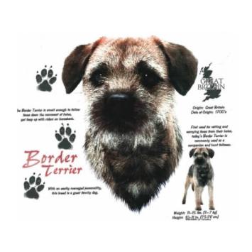 Border Terrier T-shirt