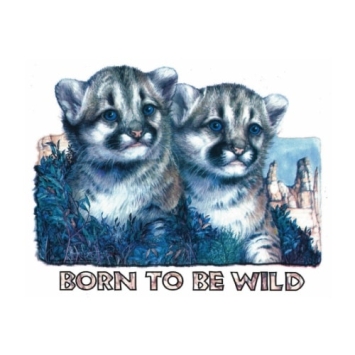 Born to be Wild t-shirt  van 100% katoen. Leverbaar in 27 kleuren.