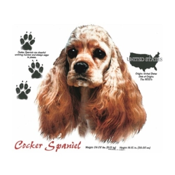 Bruine Cocker Spaniel t-shirt