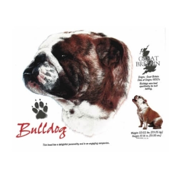 Bulldog T-shirt