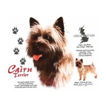 Cairn Terrier T-shirt